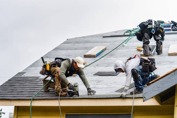 Professional Roof Inspection technician working in Le Roy, NY